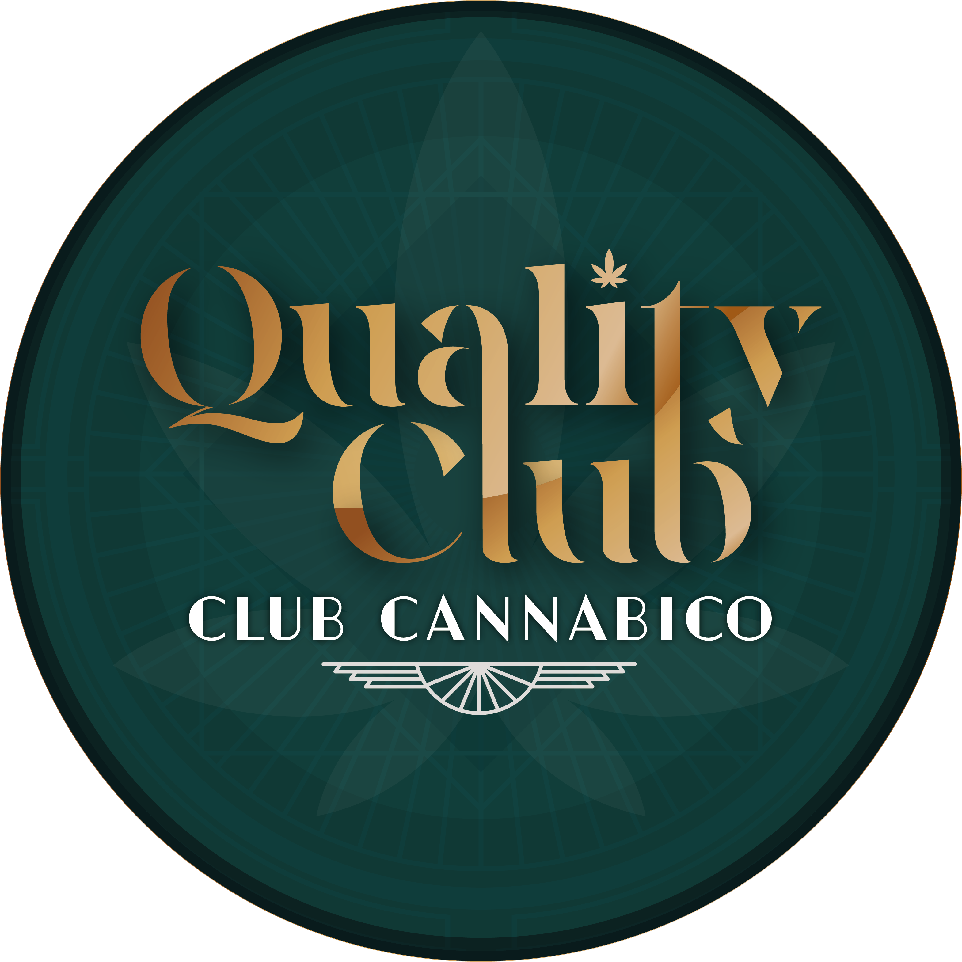 Logo Quality Asociación Civil